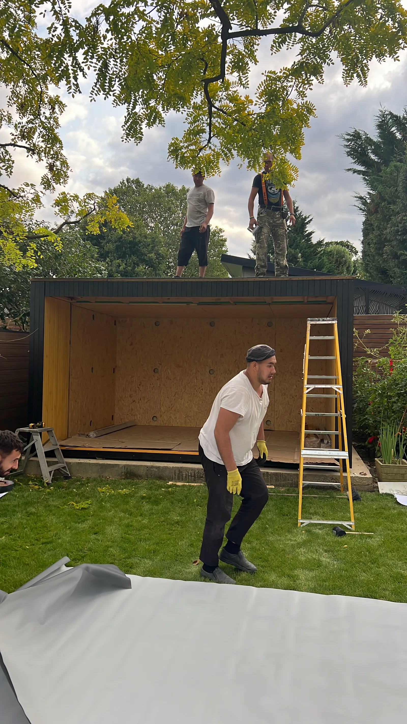 Wimbledon garden studio — Wimbledon, London SW19
